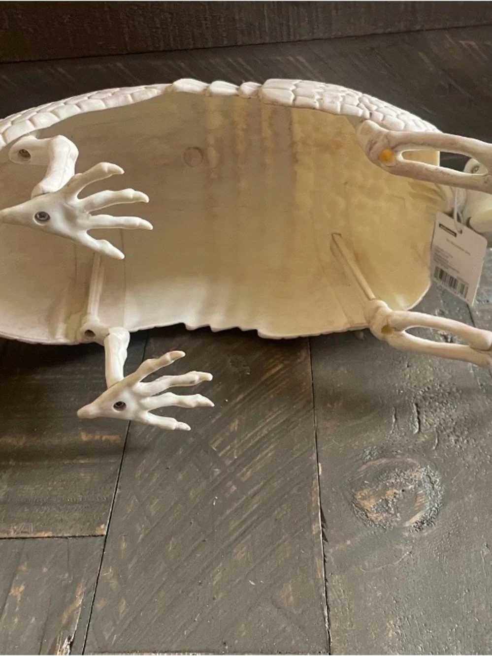 Beige Armadillo Reptile Habitat Decoration - Realistic Shell Accent- faux
